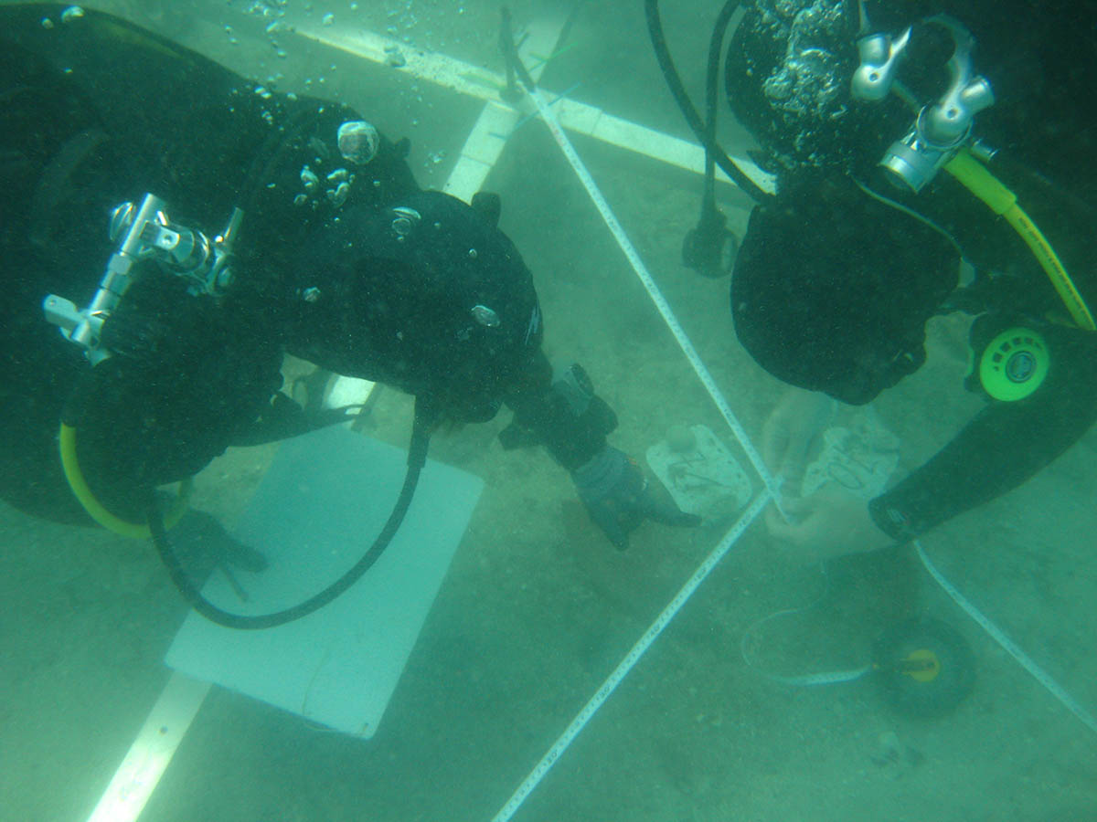 Dokumentiranje nalaza Documentation of the finds